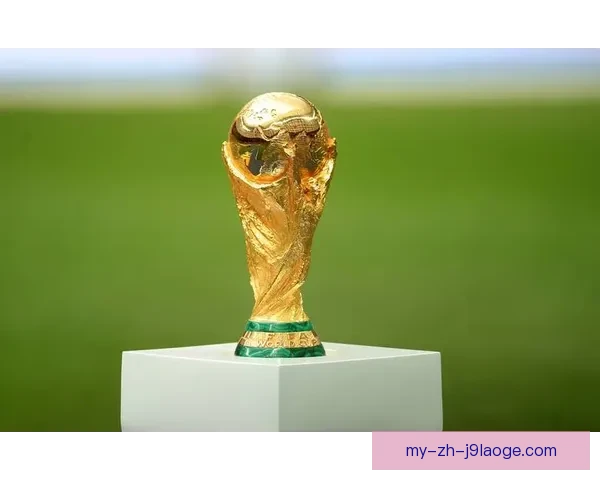 2026世界杯官方志愿者申请人数首次突破百万再创新高